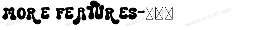 More Features字体转换